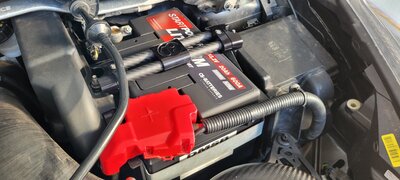 20260508_180146.jpg